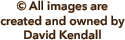 © All images are 